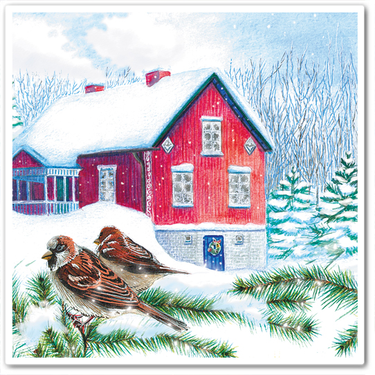 Зима за городом