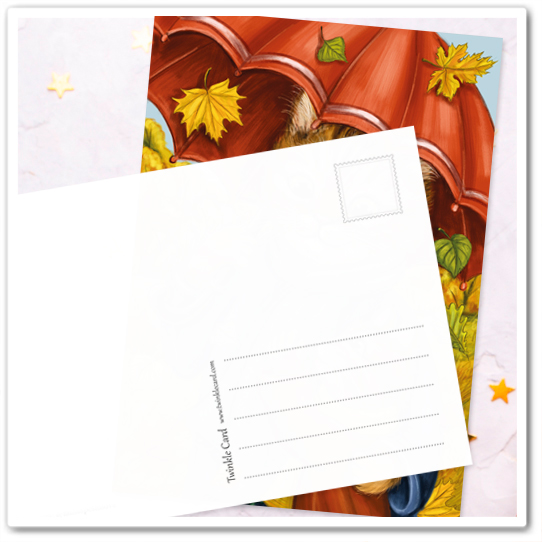 Осенние котики