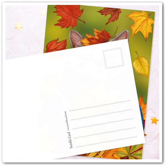 Кот под листопадом