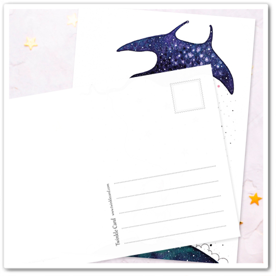 Белый миша. Поймать мечту за хвост