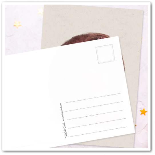 Читаем сказки