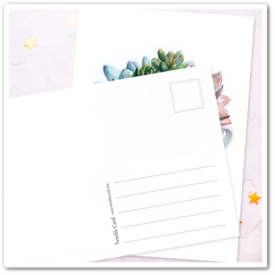 Суккуленты