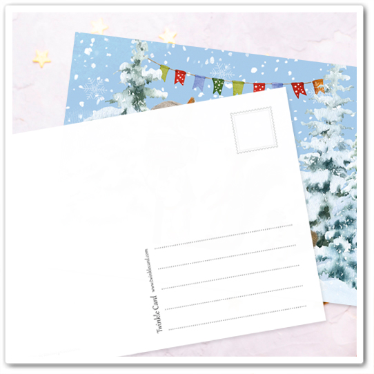 Белки. Новогодняя почта