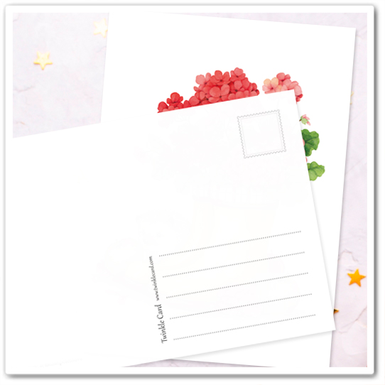 Сапожки с геранью