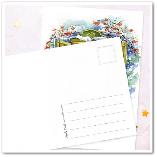 Заснеженное окно