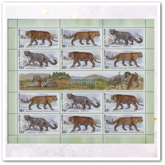 Дальневосточный леопард