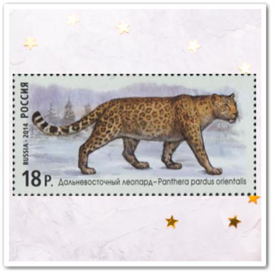 Дальневосточный леопард