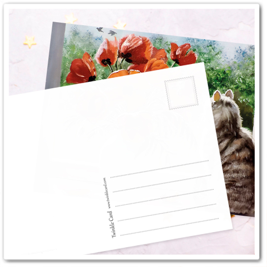 Коты и букеты. Маки