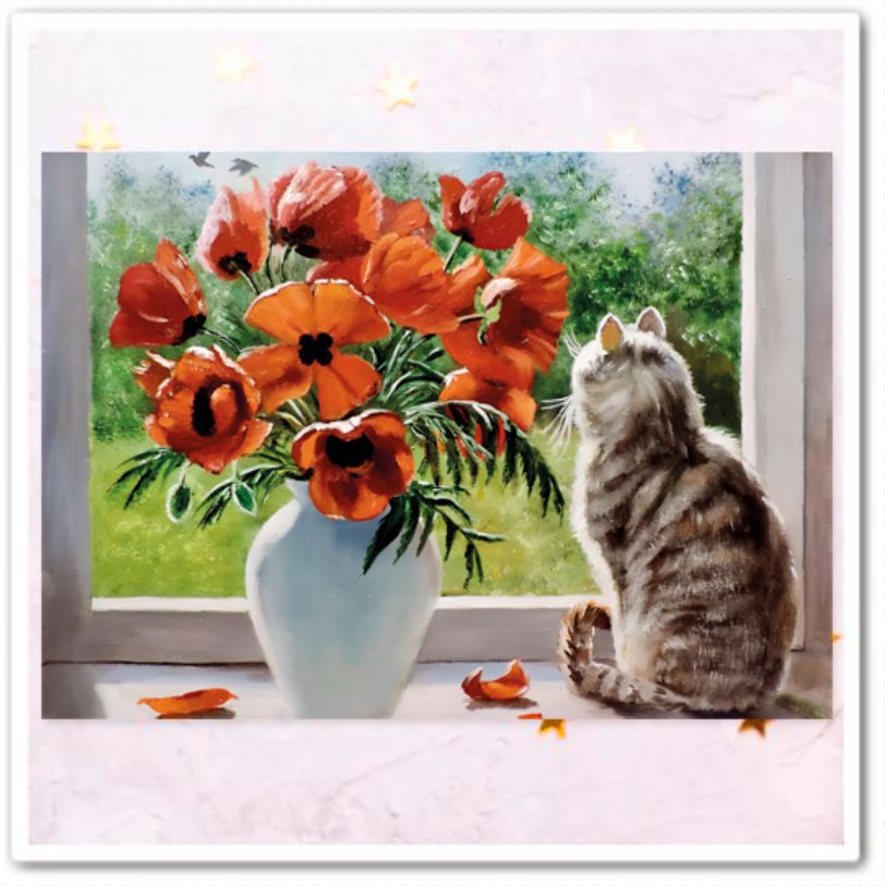 Коты и букеты. Маки