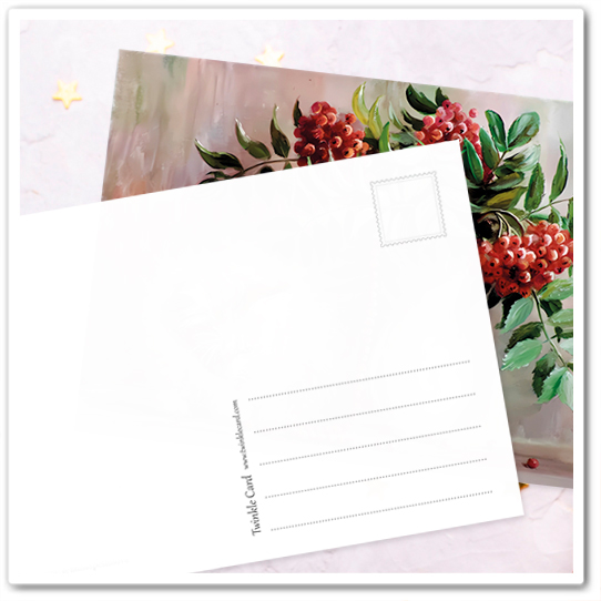 Коты и букеты. Рябина