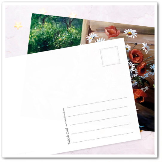 Коты и букеты. Ромашки