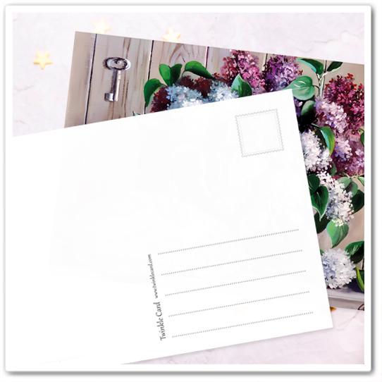 Коты и букеты. Сирень