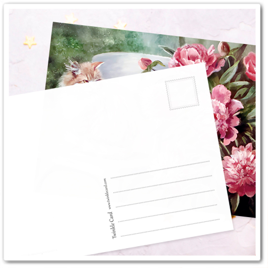 Коты и букеты. Пионы