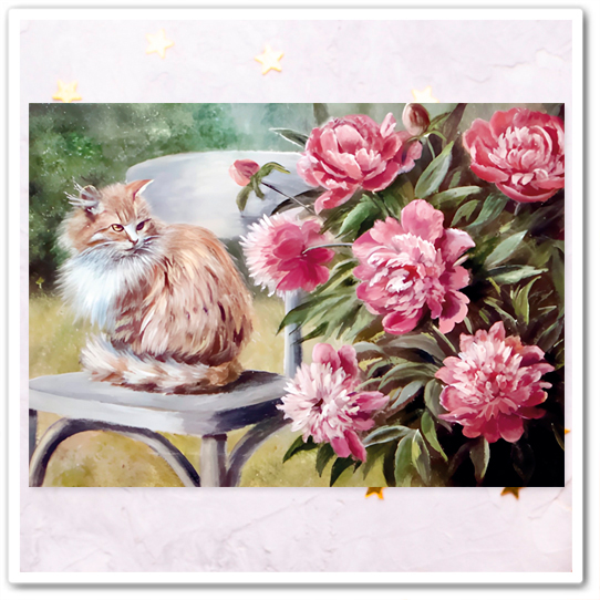 Коты и букеты. Пионы