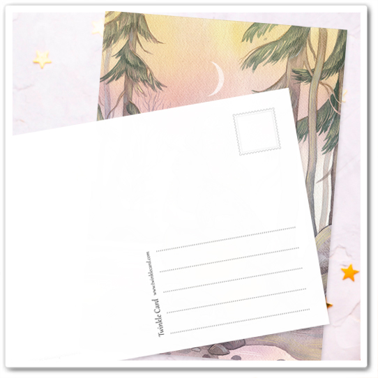 Северный свет