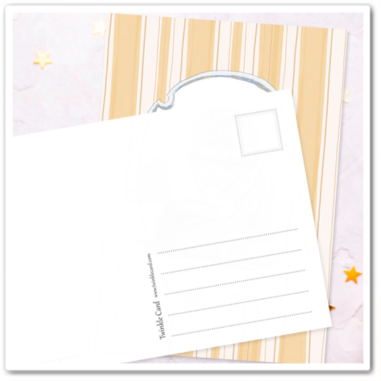 Кот-домосед. С книгой и пледом