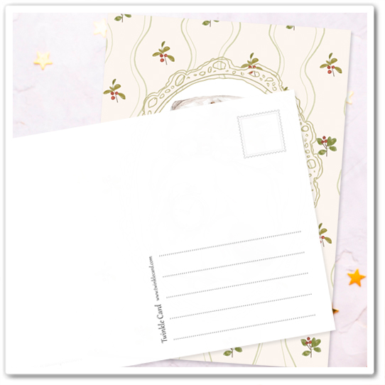 Кот-домосед. Любимая кроватка