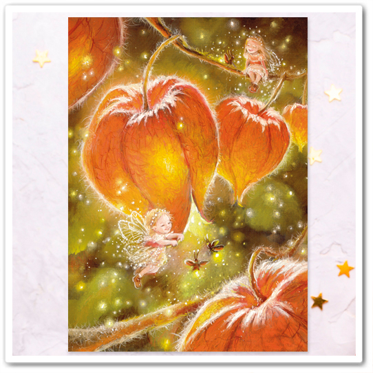 Феи. Физалис