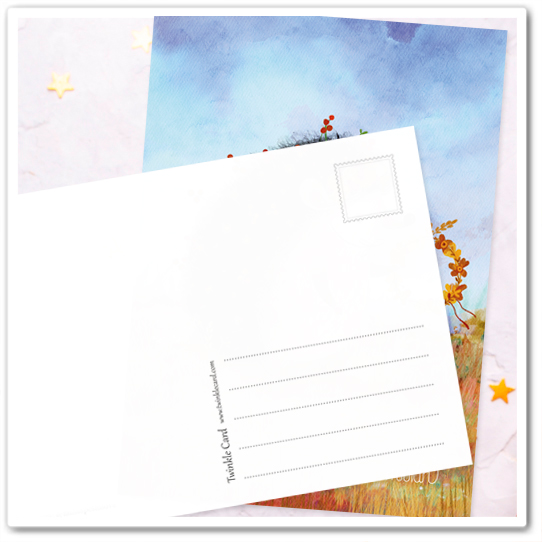 Ёжик. Ноябрь