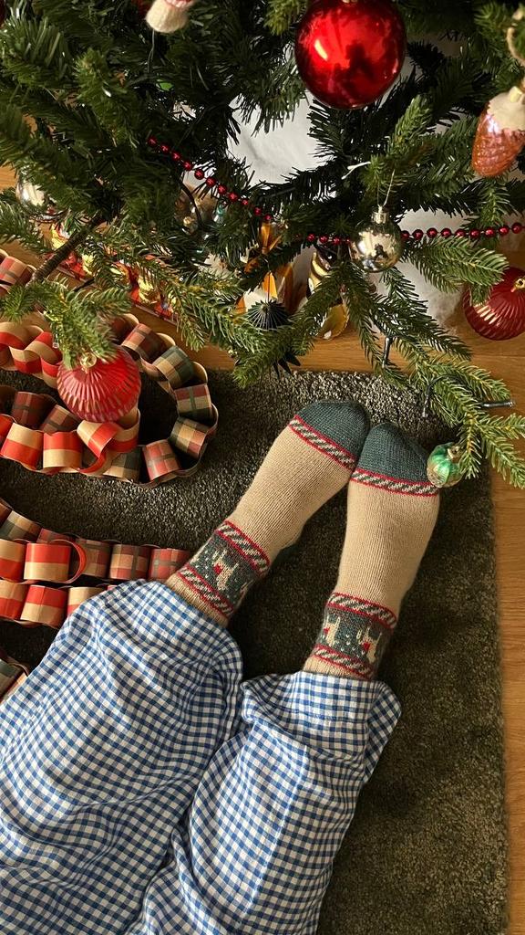 Носочки «Loshadki socks»