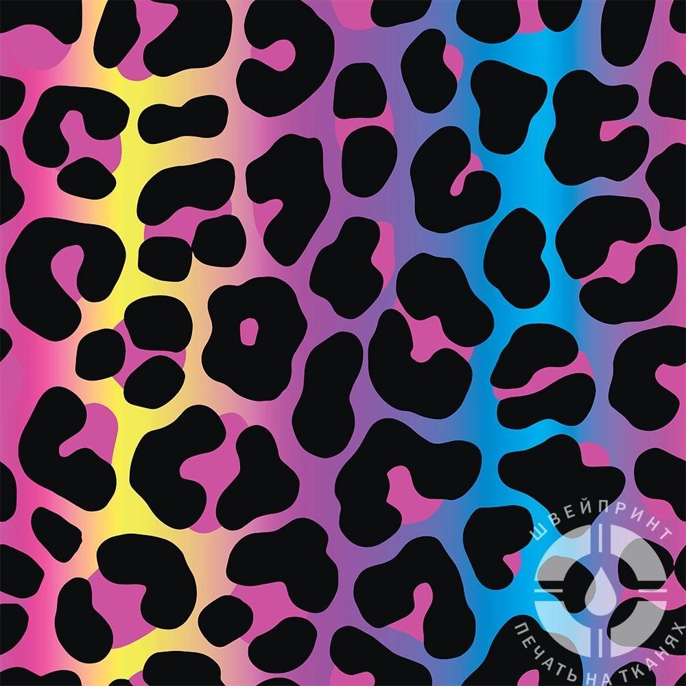 Софтшелл C38