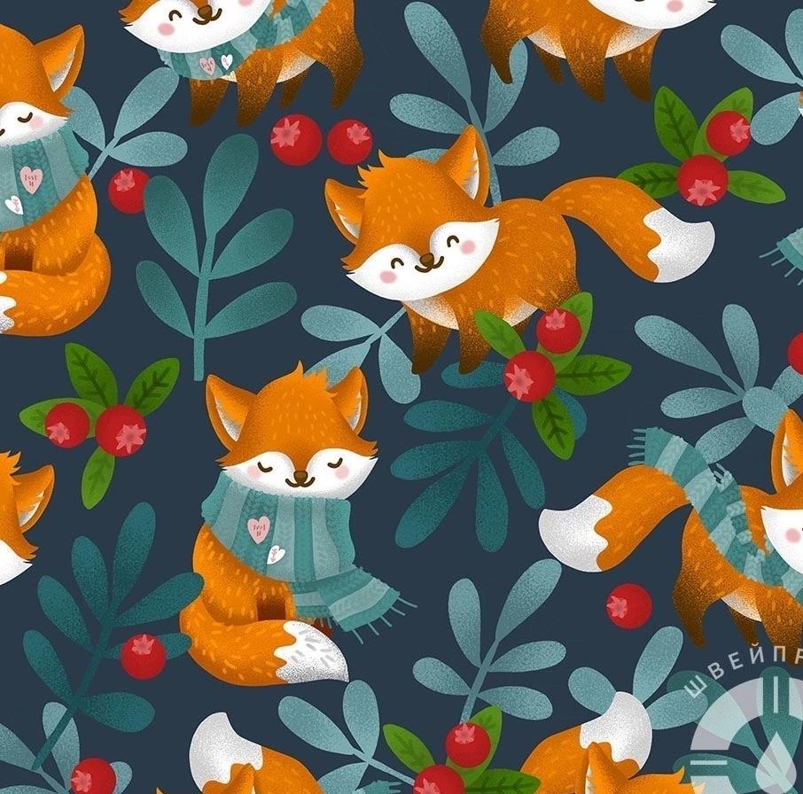 Софтшелл C47