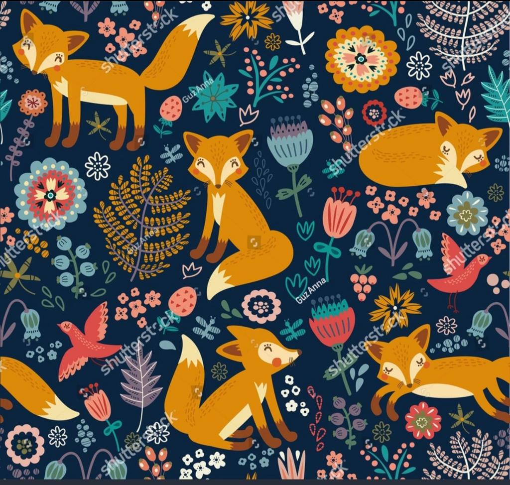 Софтшелл C50