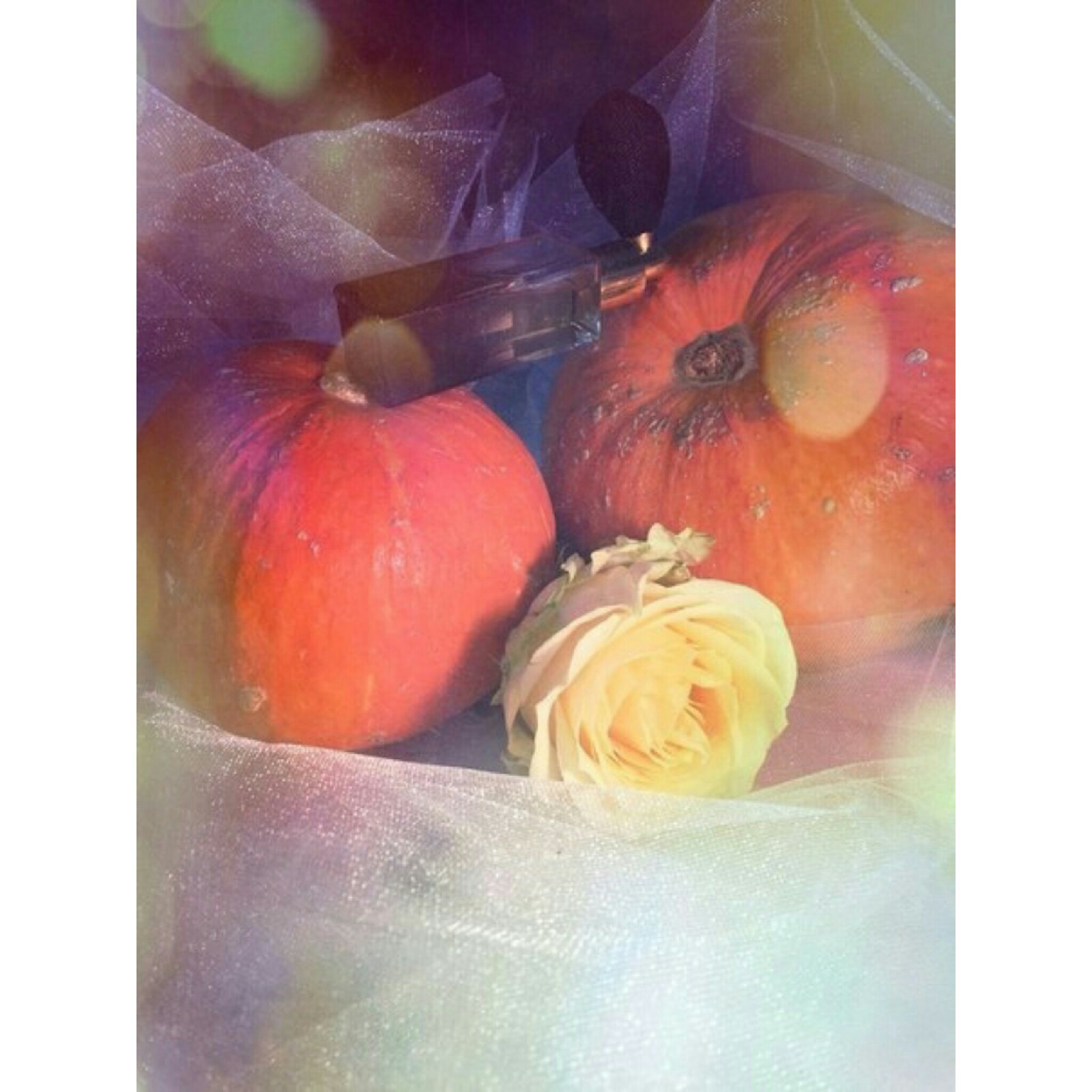 Glazed pumpkin
