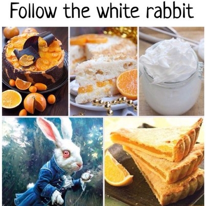 Follow the white rabbit