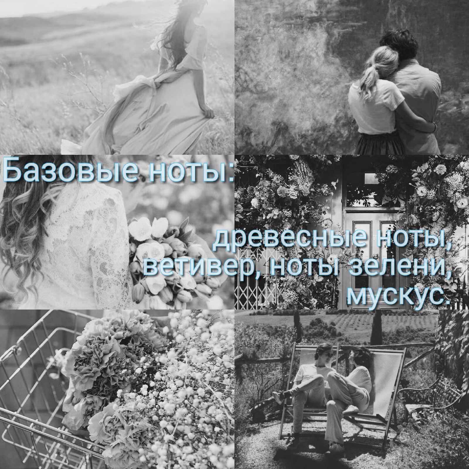 Phenomen