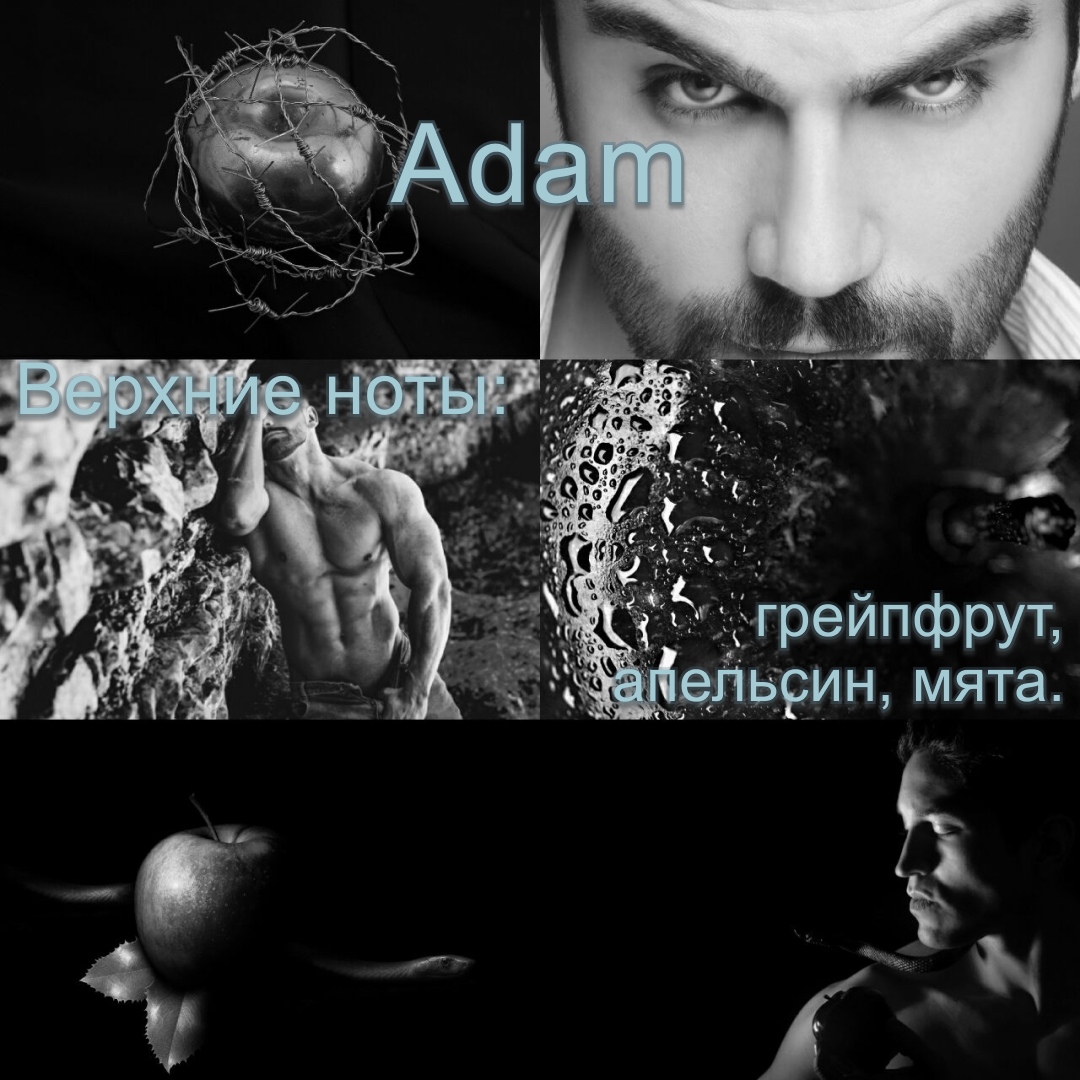 Adam