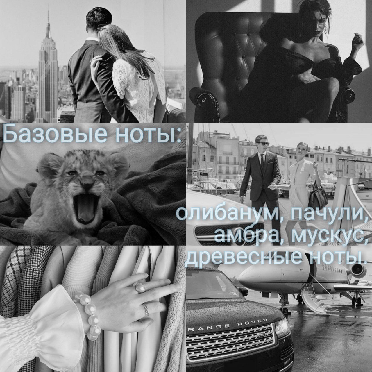 Animal instinct