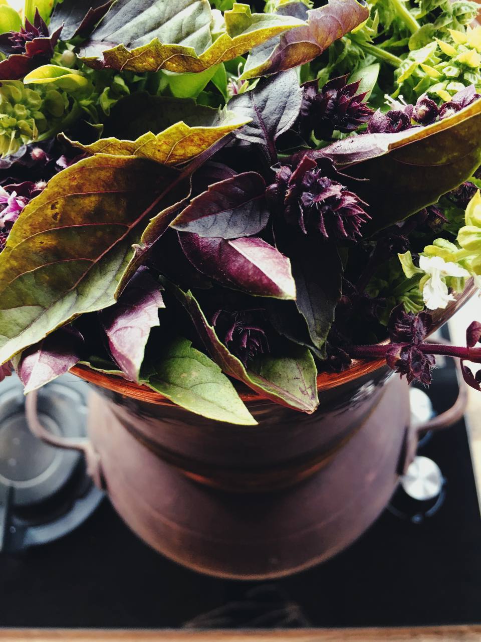 Гидролат Базилика