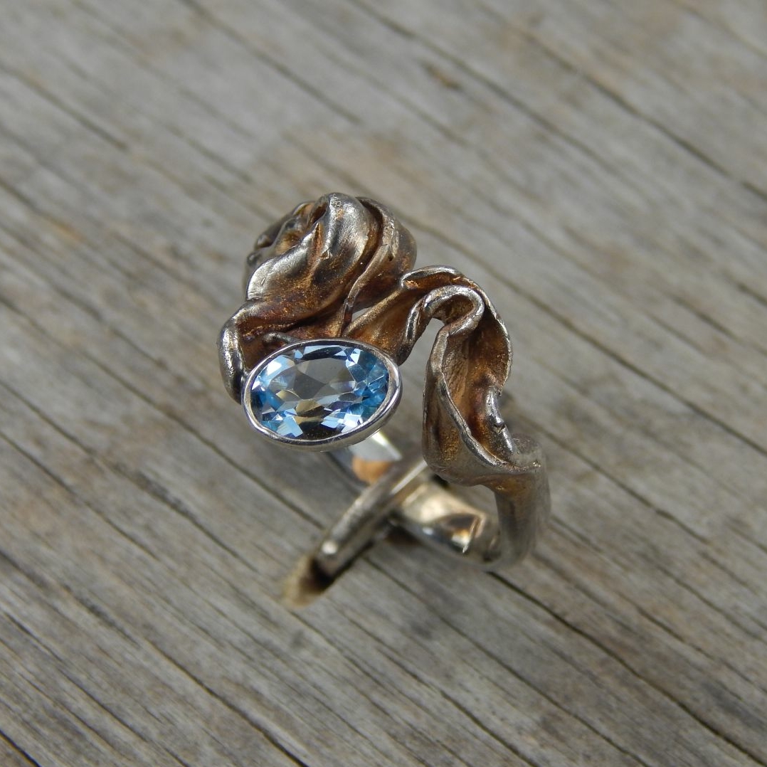 Кольцо Бага