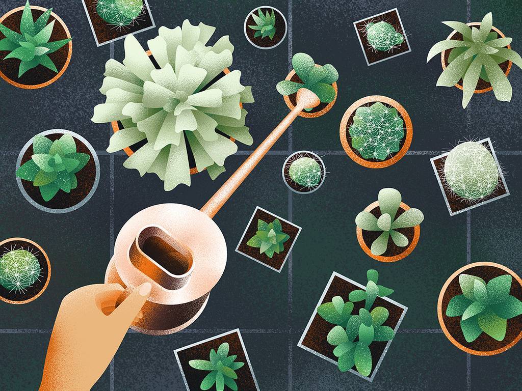 Онлайн консультация