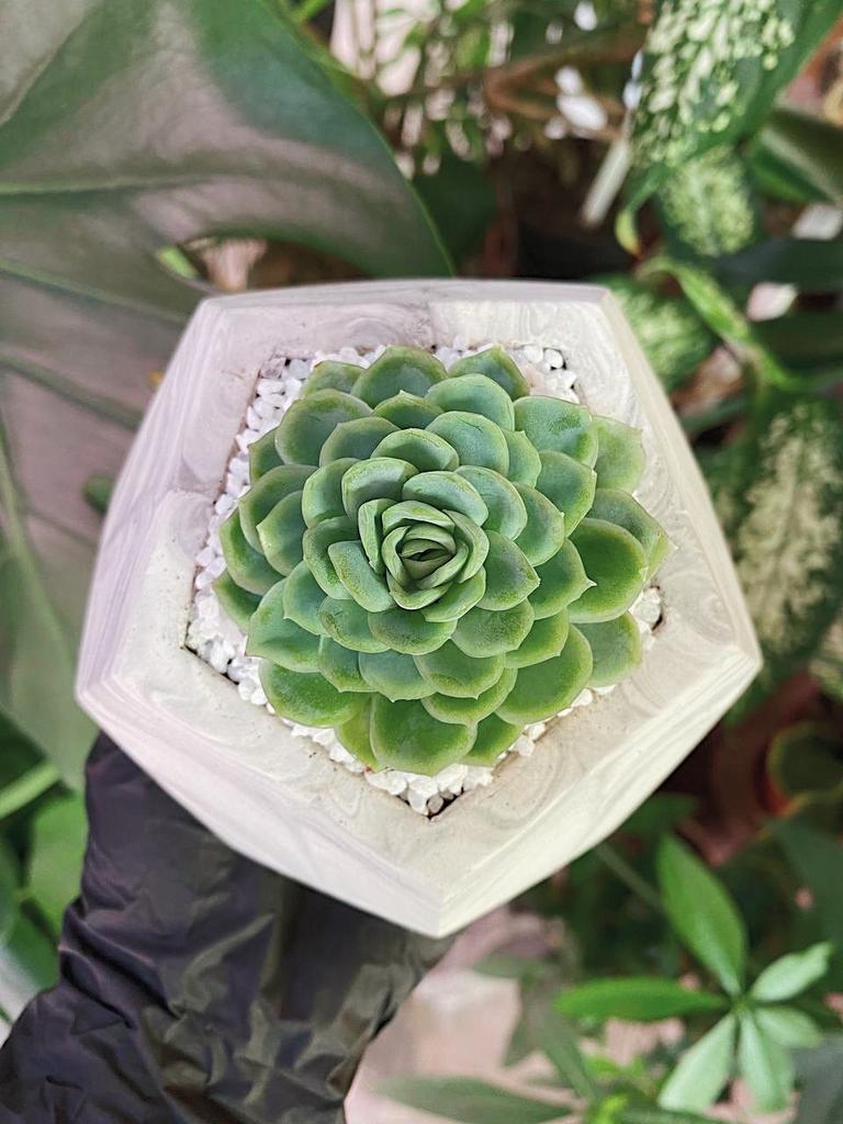 Жұмсақ секс қара және ақ фотосурет Топтық шеңбердегі порно