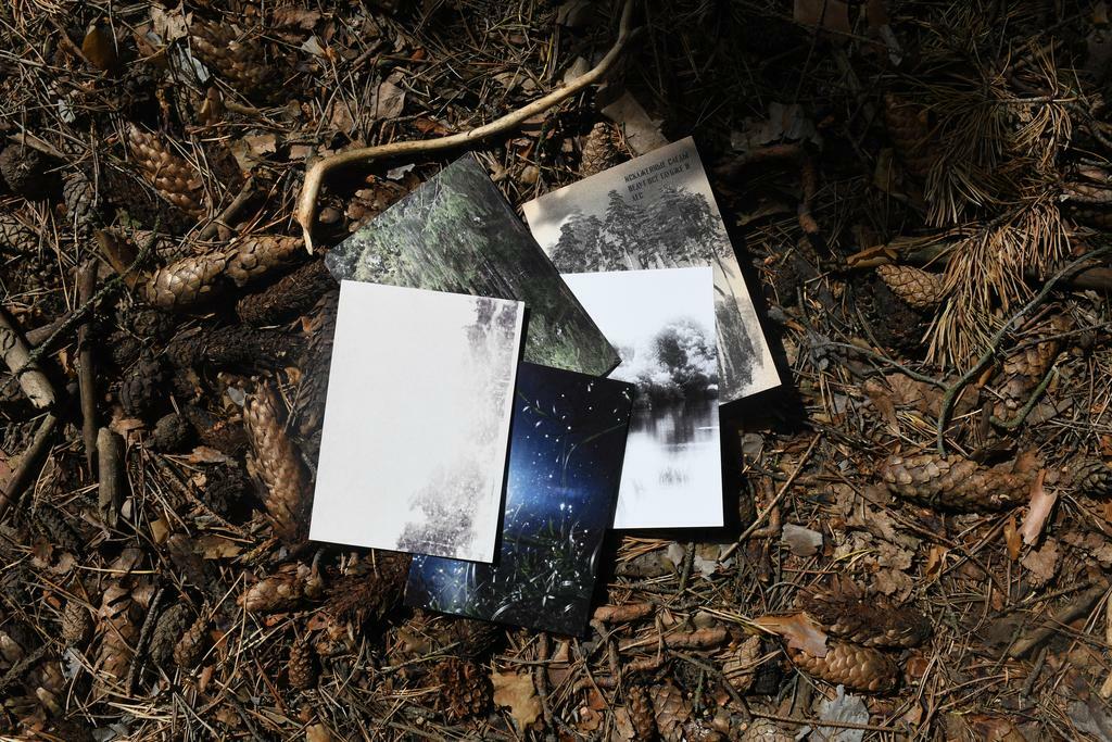 Пак из 10 открыток