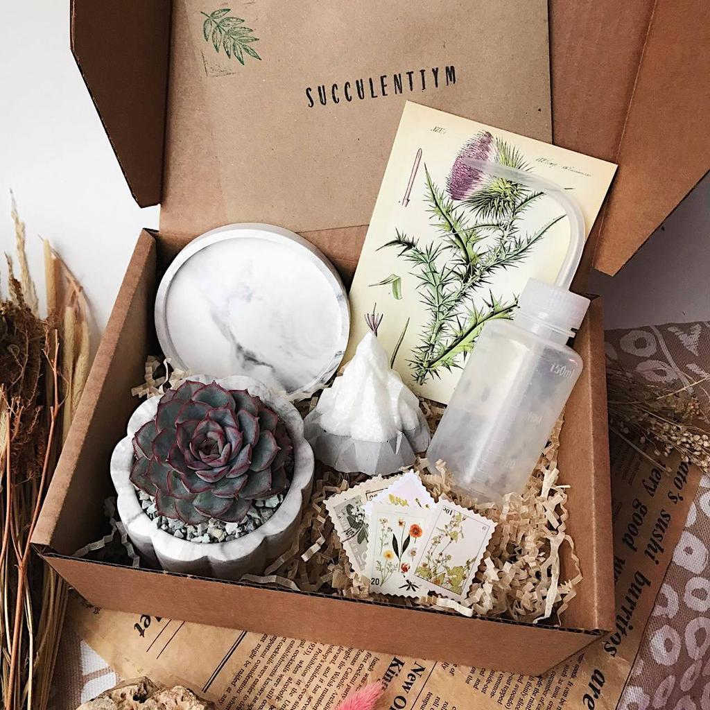 Подарочный набор MAX