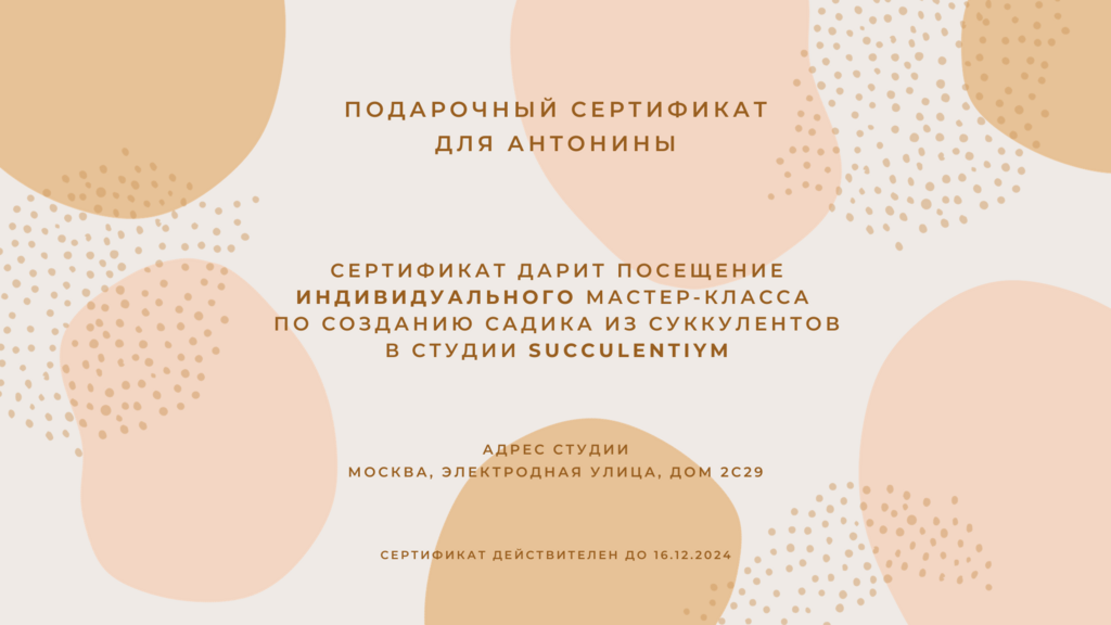 Подарочный сертификат на индивидуальный мастер-класс по созданию садика из суккулентов (электронный)
