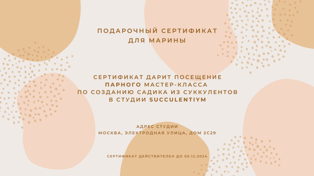Подарочный сертификат на парный мастер-класс по созданию садиков из суккулентов (электронный)