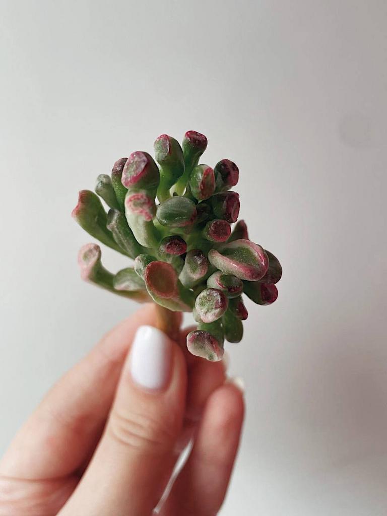 Евгения Брик ыстық Ақша үшін секс үшін алаяқтық