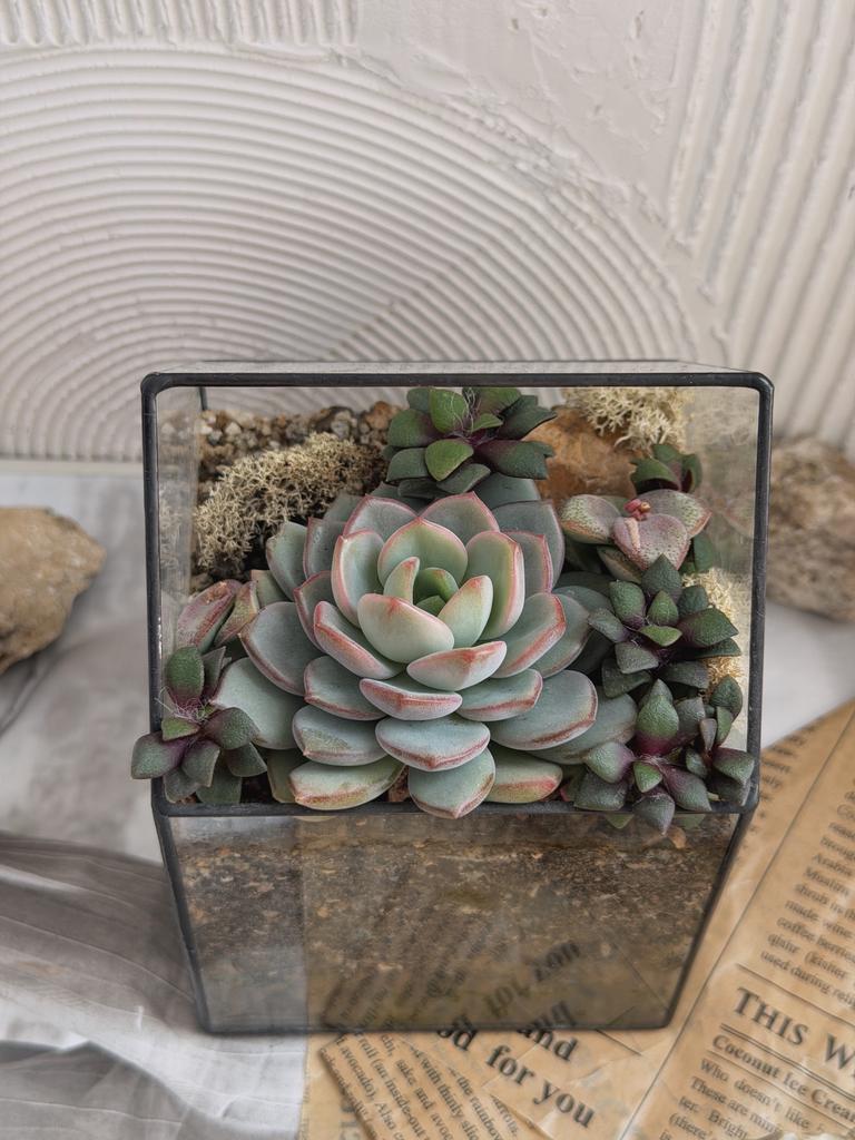 Розовый домик