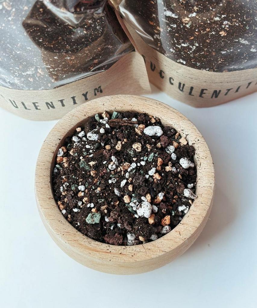 Грунт для декоративно-лиственных растений