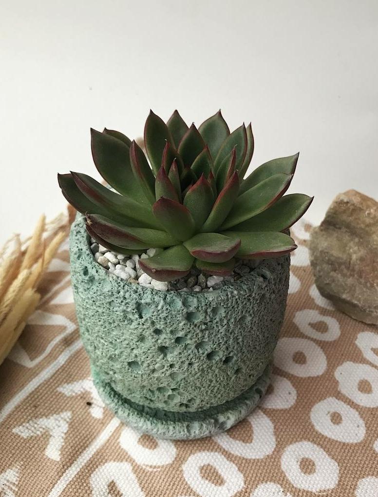 Композиция в горшке "Луна"