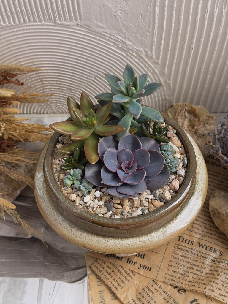 Садик в Шляпе