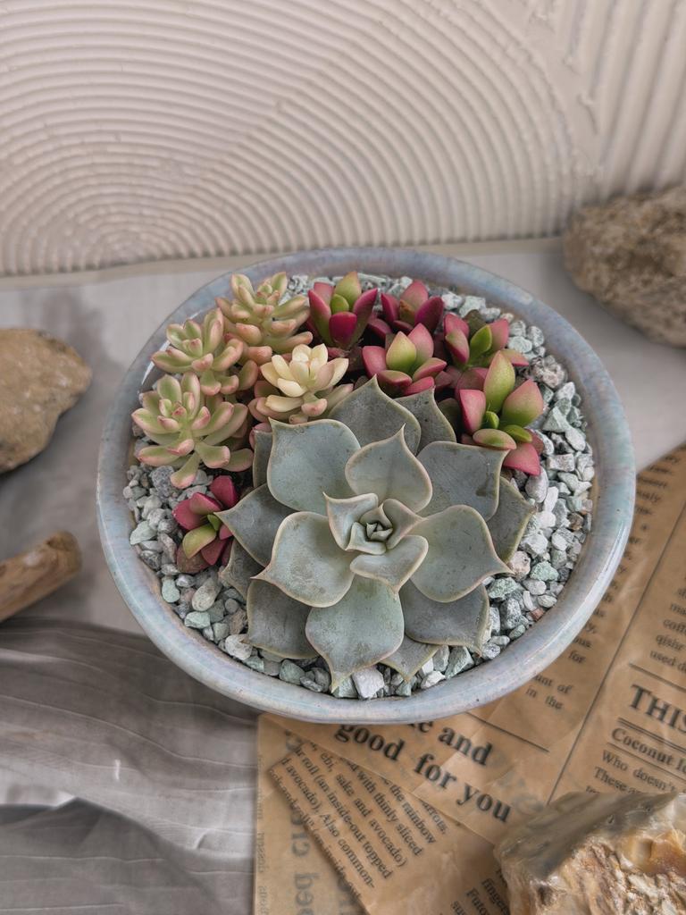 Садик "Нимфея"