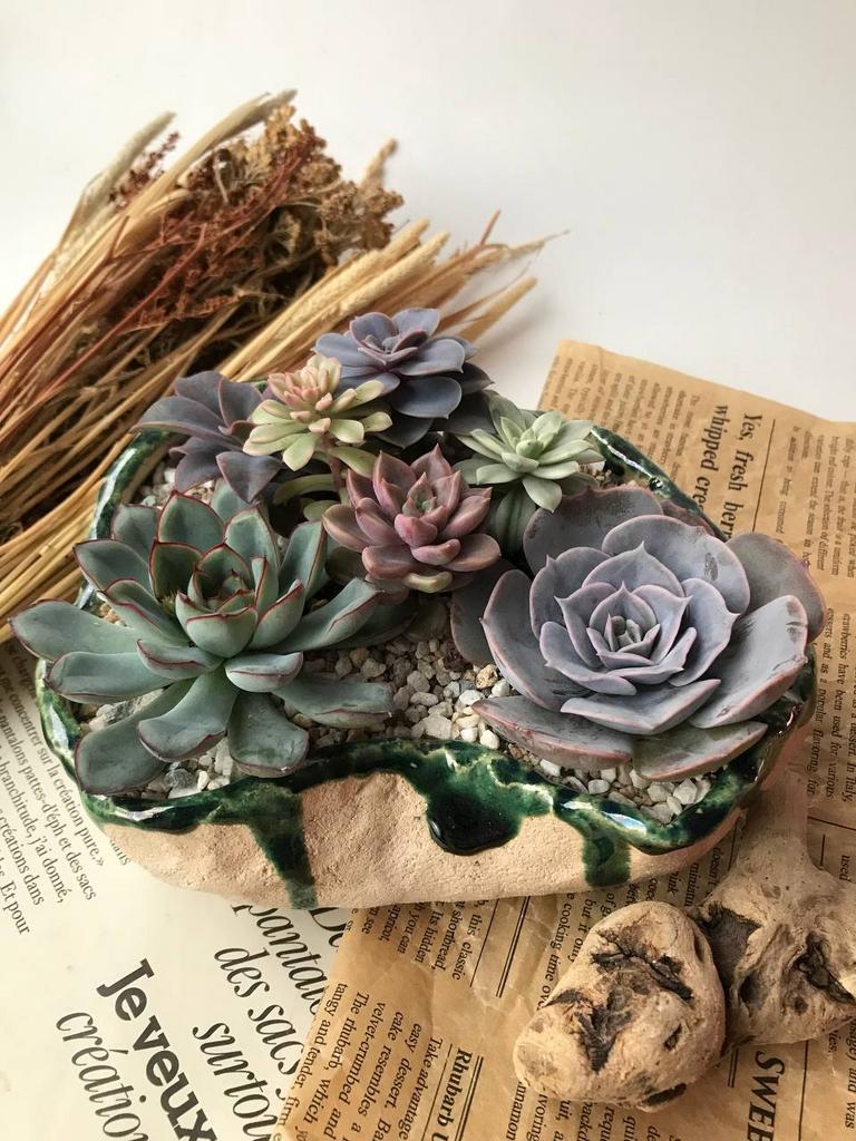 Садик "Нимфея"