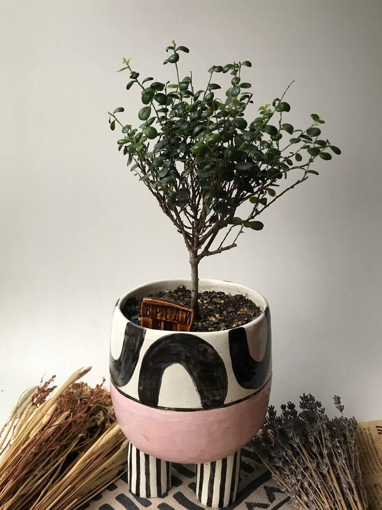 Мирсина в авторской керамике