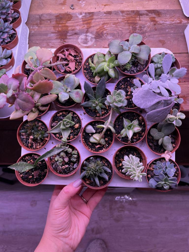 сет по 150 №2