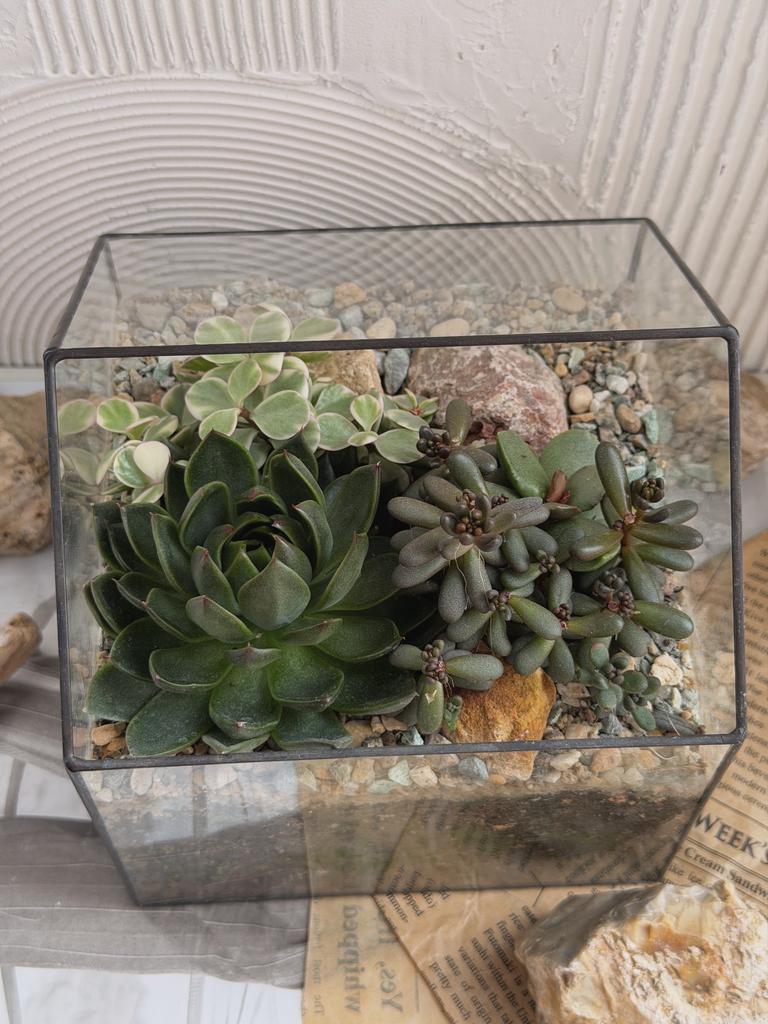 Садик в доме